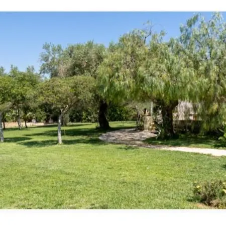 农家乐 Li Massari *