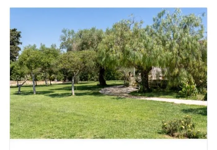 农家乐 Li Massari *