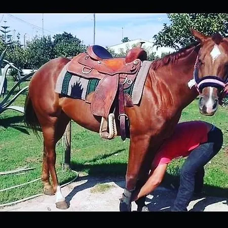 Vakantieboerderij Li Massari